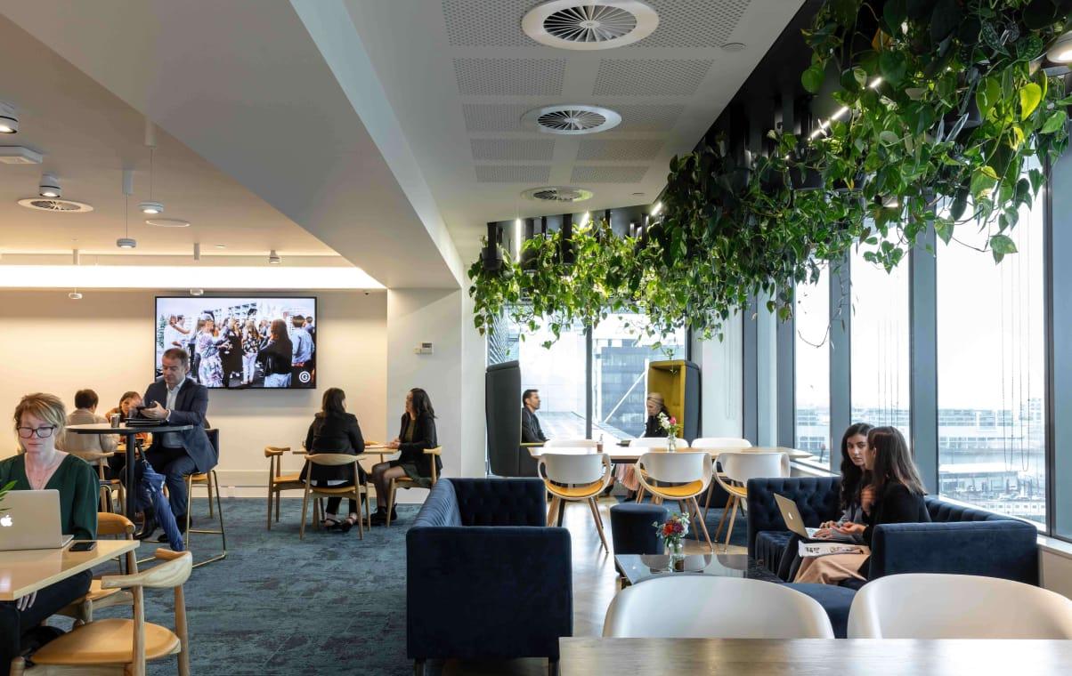 Britomart office shared space rooftop